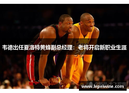 韦德出任夏洛特黄蜂副总经理：老将开启新职业生涯